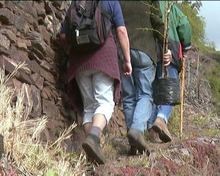 Vila Kleines Winzerhauschen Bremm Pokoj fotografie