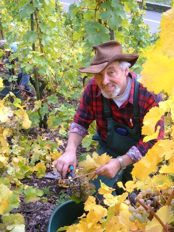 Vila Kleines Winzerhauschen Bremm Pokoj fotografie