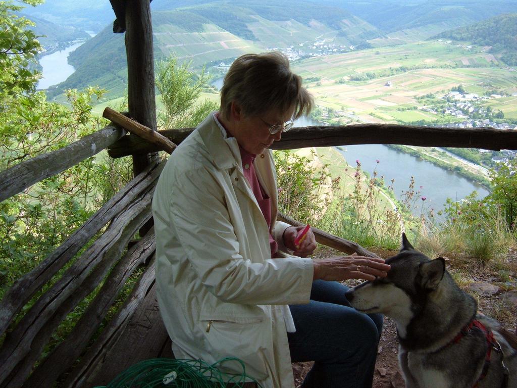 Vila Kleines Winzerhauschen Bremm Pokoj fotografie