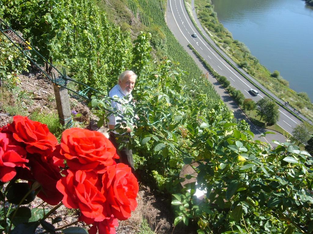 Vila Kleines Winzerhauschen Bremm Pokoj fotografie