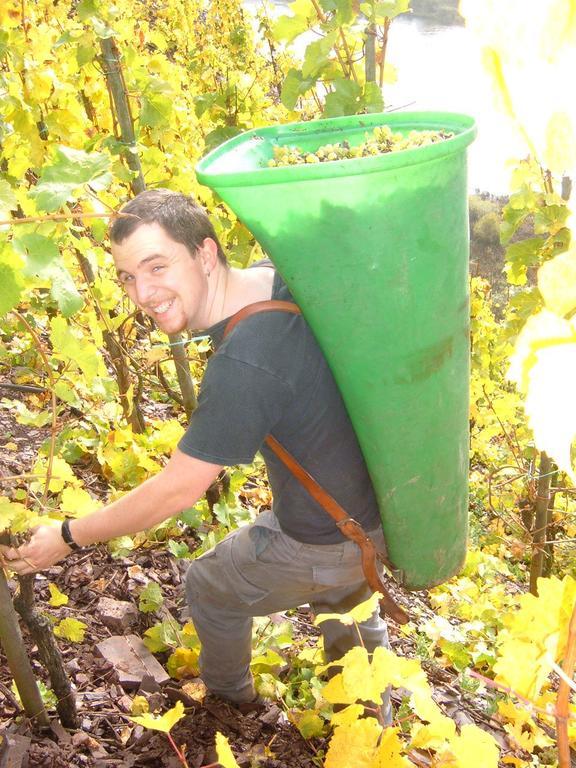 Vila Kleines Winzerhauschen Bremm Pokoj fotografie