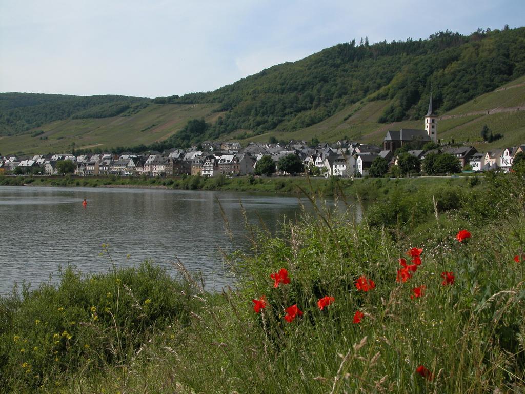 Vila Kleines Winzerhauschen Bremm Pokoj fotografie