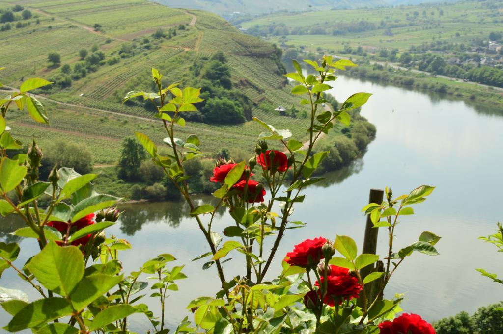 Vila Kleines Winzerhauschen Bremm Exteriér fotografie